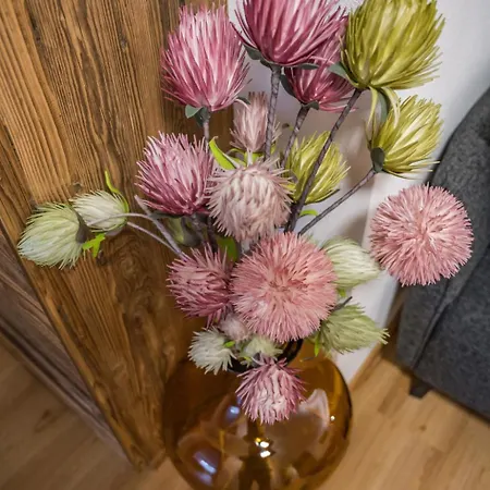 Montec-3 By Interhome