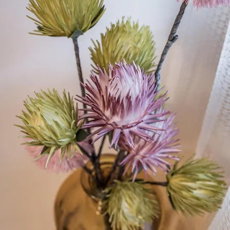 Montec-3 By Interhome Lägenhet *