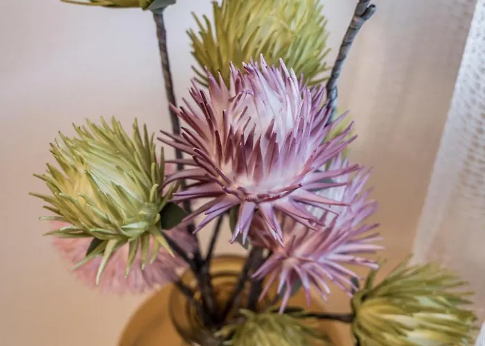 Montec-3 By Interhome Apartamento *